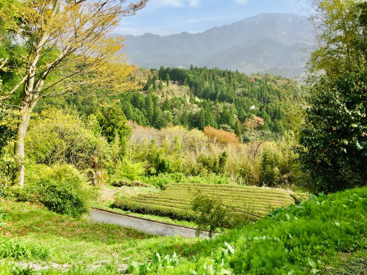 10 – A trilha entre Magome e&nbsp;Tsumago